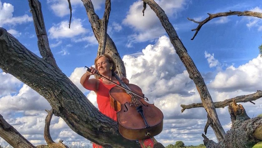 Jane Fenton cello